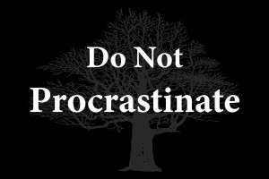 Do Not Procrastinate 2